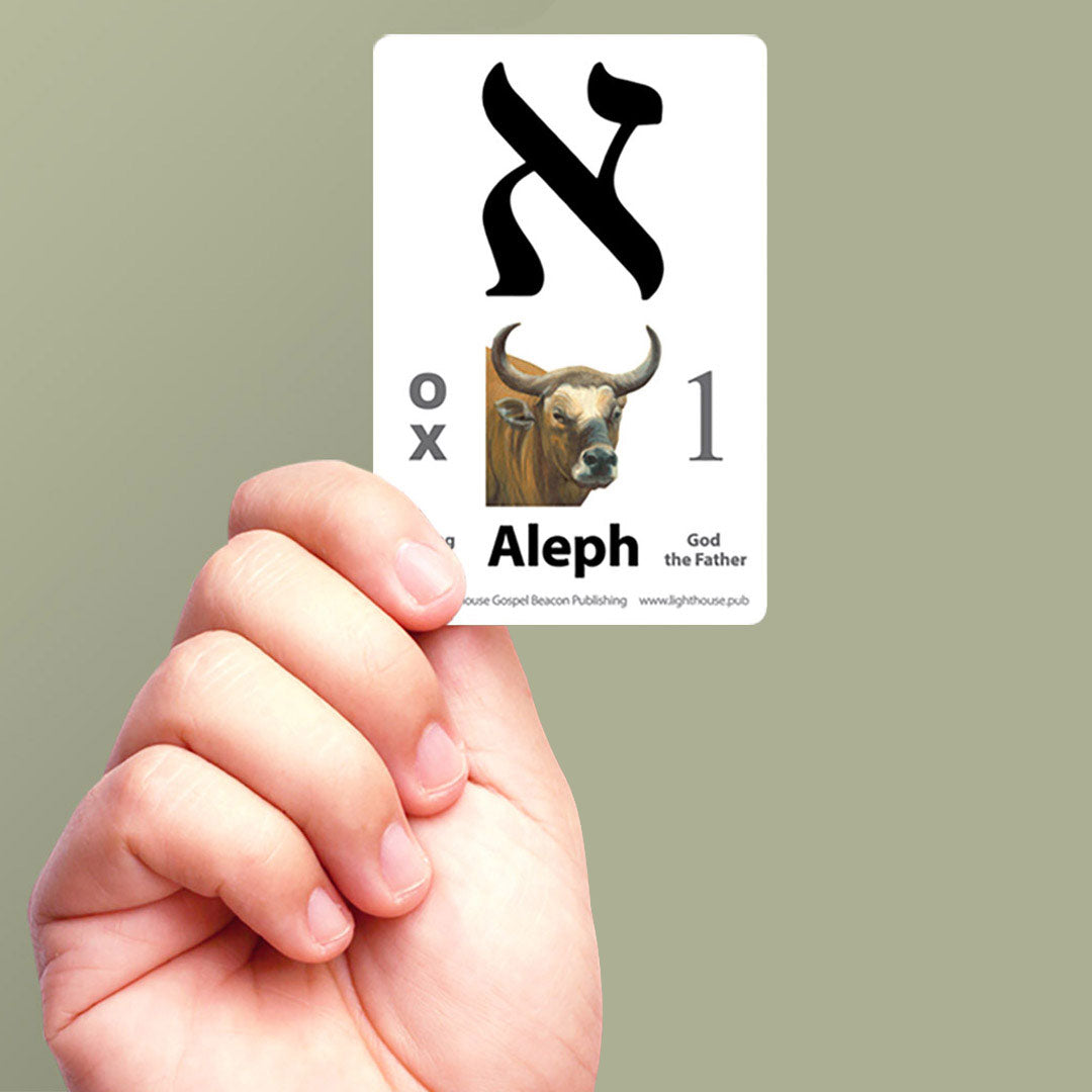 Modern & Ancient Hebrew Letter Flash Cards (Travel Size)