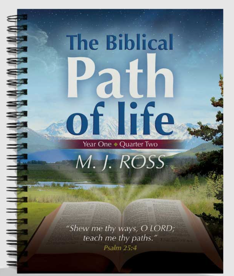 The Biblical Path of Life - Year One (all 4 Books / Quarters!) - M.J. Ross