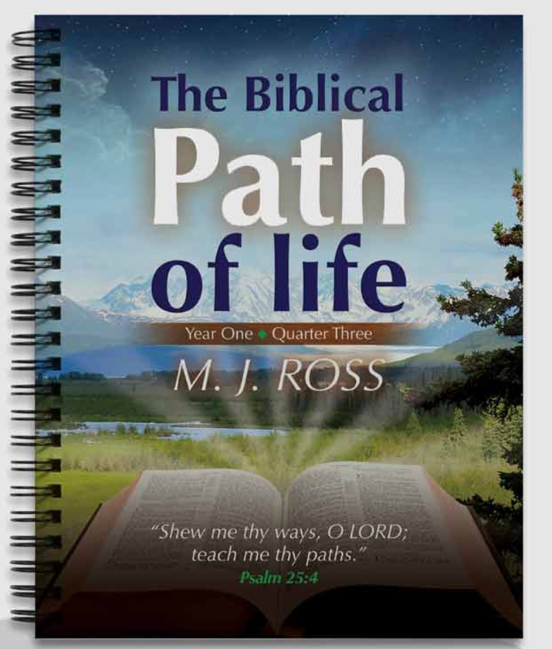 The Biblical Path of Life - Year One (all 4 Books / Quarters!) - M.J. Ross