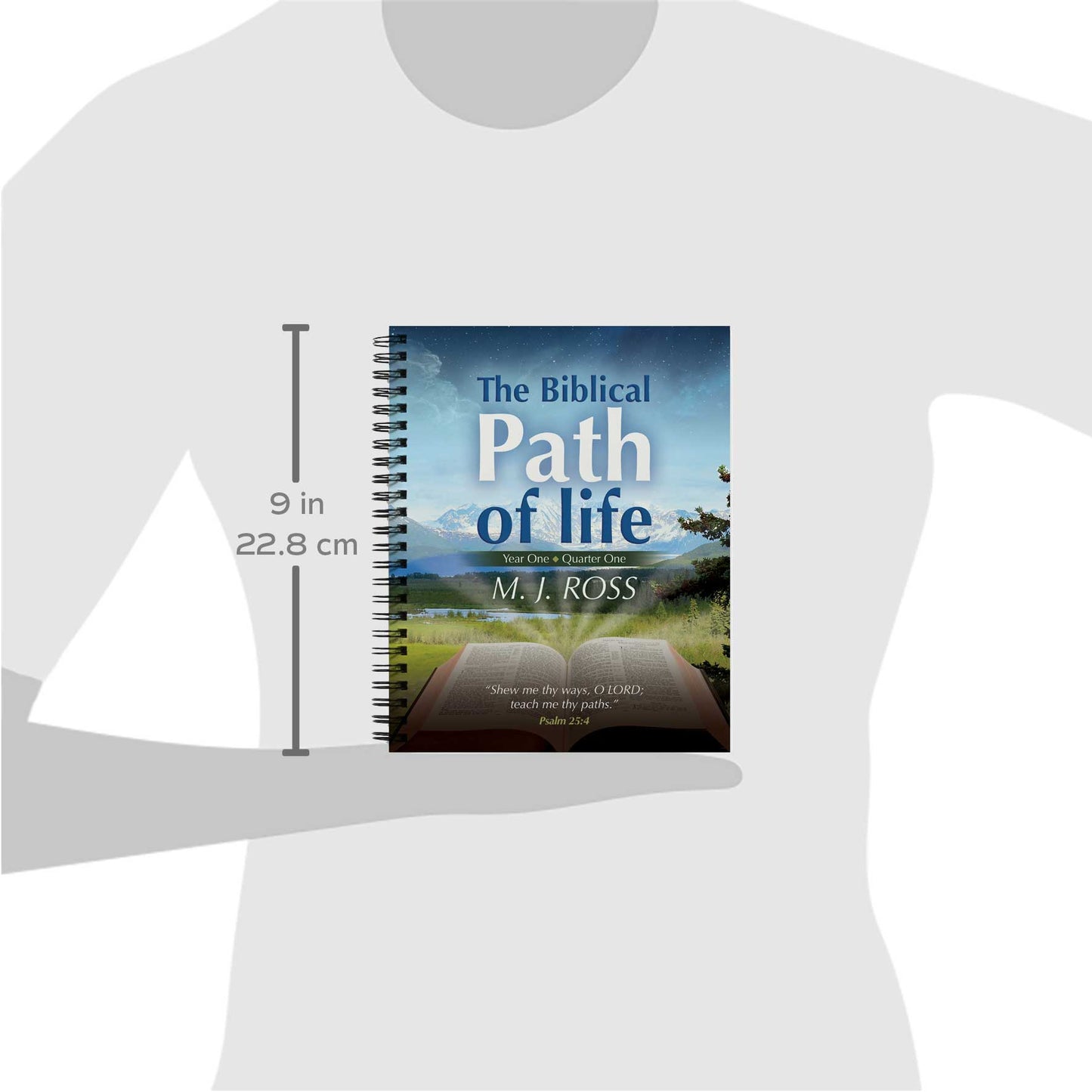 The Biblical Path of Life - Year One (all 4 Books / Quarters!) - M.J. Ross