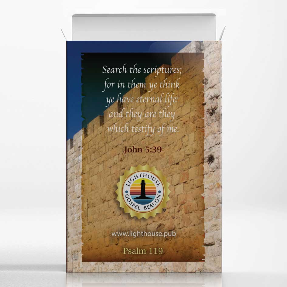 Modern Hebrew Letter Teaching Cards: Word Significance